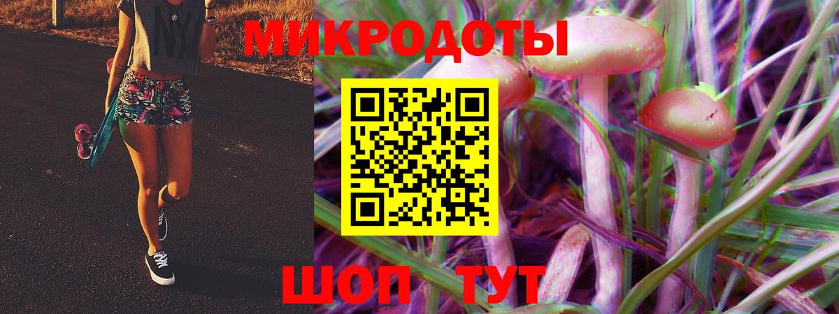 Галлюциногенные грибы Psilocybine cubensis Туапсе