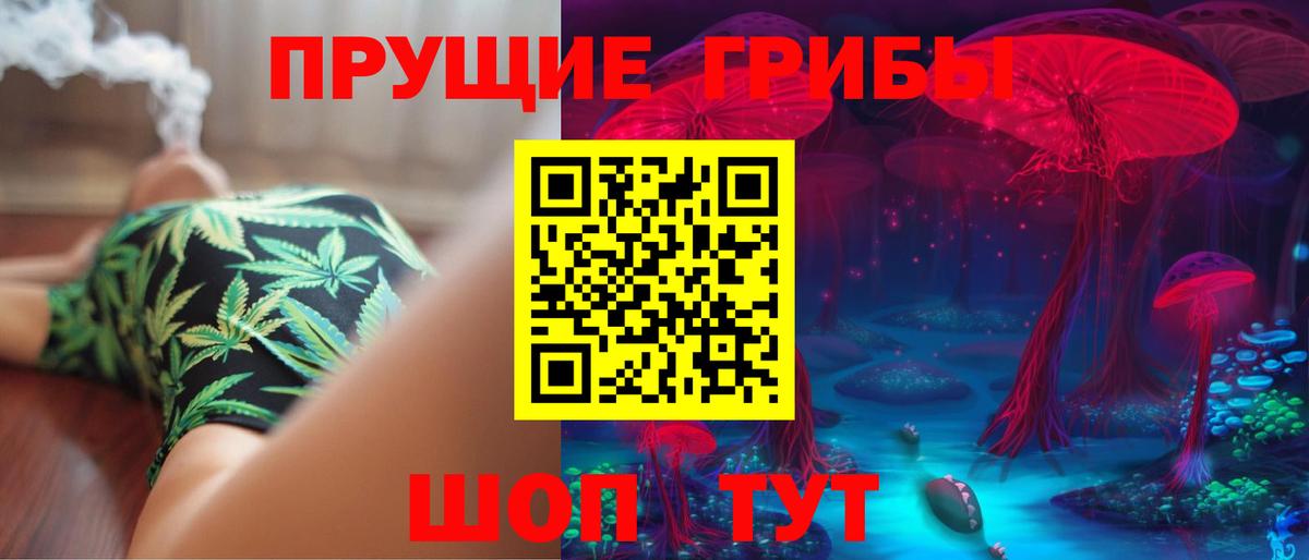 как найти наркотики  Галлюциногенные грибы Psilocybine cubensis  Вход с VPN  Туапсе 